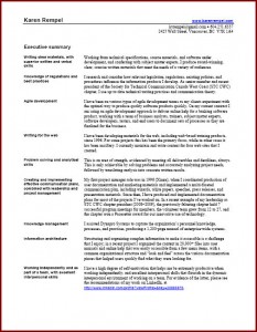 Karen's executive summary